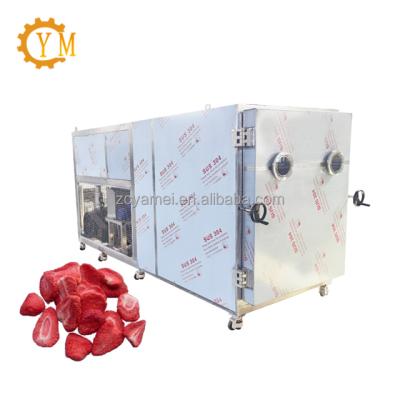 China Medicine Processing Vacuum Freeze Dryer Lyophilizer For Industrial Freeze Drying Processing for sale