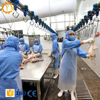 China POULTRY 1000 BPH Capacity Poultry Line For Chicken / Halal Chicken Slaughterhouse for sale