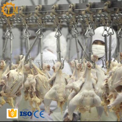 China POULTRY poultry slaughtering equipment/chicken slaughterhouse for sale for sale