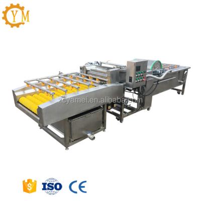 China Fruit Processing Plant Bubble Washing Machine / Vegetable Bubble Washer / Vegetable And Fruit Washing Line for sale