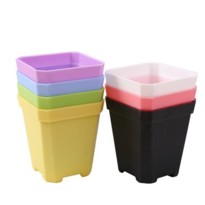 China Wholesale Eco-friendly 10cm Mini Colorful Square Plastic Flower Pot for sale