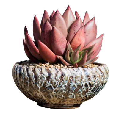 China Wholesale Durable Colorful Glazed Flowerpot Handmade Succulent Ceramic Flower Pots Breathable for sale