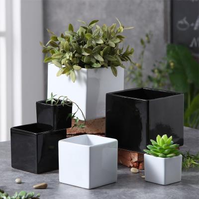 China Wholesale Eco-friendly Simple Indoor Small Garden Planters Decoration Living Room Ceramic Flower Pots for sale