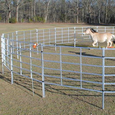 China Easily Assembled Portable Metal Tube Horse Panel Fencing Gate Metal Horse Fence Panel 160cm High for sale