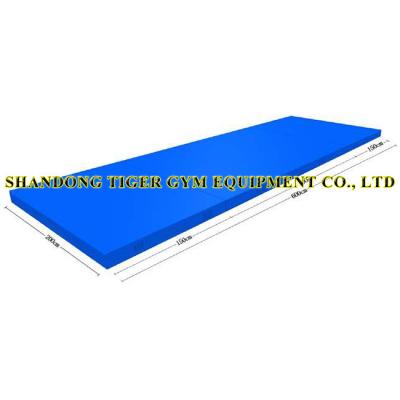 China Gymnastics Equipment Gymnastics Landing Mats for Rings (training type) for sale