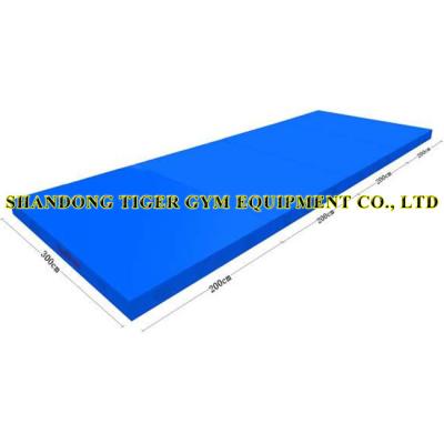 China Gymnastics Equipment Gymnastics Landing Mats for Vaulting Horse (training type) for sale