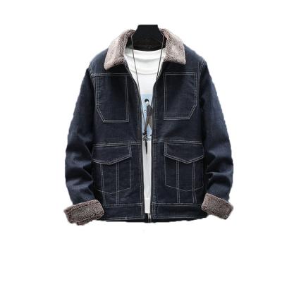 China Regular Fashionable Men's Casual Winter Coat Denim Jacket With Lambswool Lining for sale