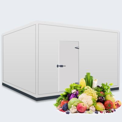 China Customized 40 feet Energy Saving stainless steel cold room Cold Room for fruit Vegetables flower for sale