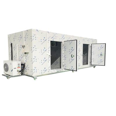 China China Fireproof Soundproof Sandwich Panel Cold Room for Frozen Food Storage for sale