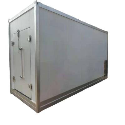 China 20ft Container freezer 40ft Cold Room Container for sale