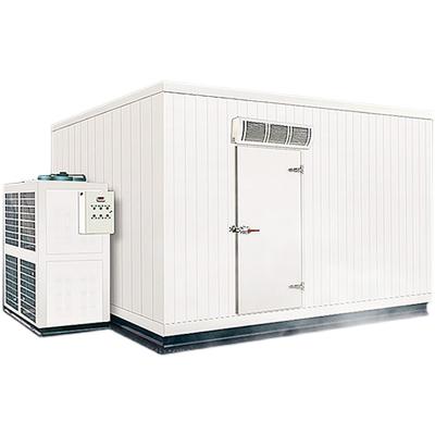 China 80CBM medium temperature industrial cold room for fruit storage for sale