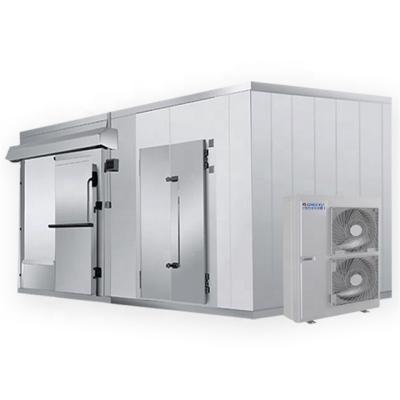 China Small Medium Large Size Cold Storage Room Cool Freezing Refrigeration for fresh meat for sale