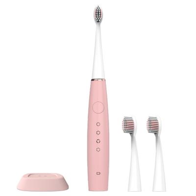 China 2021 Rechargeable White High Quality Professional Wholesale Sonic Tooth Brush Automatic Soft Dupont Electric Toothbrush CE ROHS IPX7 OEM for sale