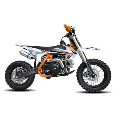 China New Orange Motorcycle 110cc Cross 4 Stroke Off Road Dirt Bike Full Automatic Kids Bike Mine Cross T02 Motorcycle With CE T02 (110CC) for sale