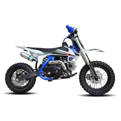 China New Blue 110 Motorcycle Cross 4 Stroke Off Road Mine Full Automatic Dirt Bike Kids Bike Cross Mine Motorcycle T02 With CE T02 (110CC) for sale