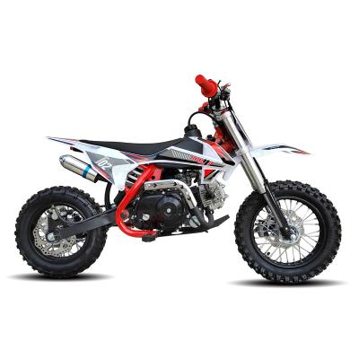 China New Red 110cc 4 Stroke Full Automatic Road Pit Bike 12