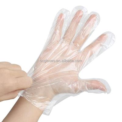 China Daily Life\Hospital Medica factory directly sell food grade plastic HDPE disposable pe gloves barber shop use polyethylene LDPE gloves for sale