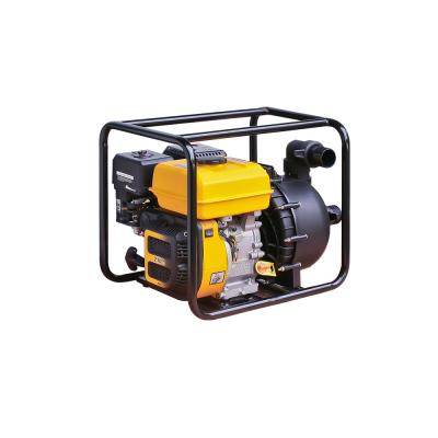 China Single Cylinder Sewage Pumps for Agricultural Irrigation and Sewage Treatment in 220v for sale