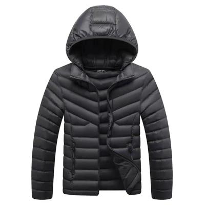 China Hot-sales polyamide fabric waterproof detachable hood cotton-padded jacket for men for sale