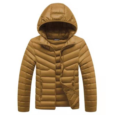 China New winter waterproof detachable hood cotton-padded jacket with polyamide lining accept custom for sale