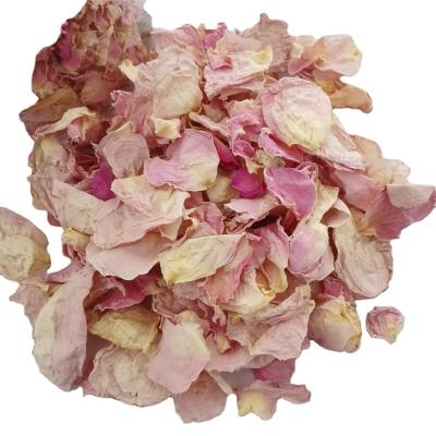 China Pure Plants Dried Rose Petals To Wedding Rose Petals Dried Flower Petals for sale