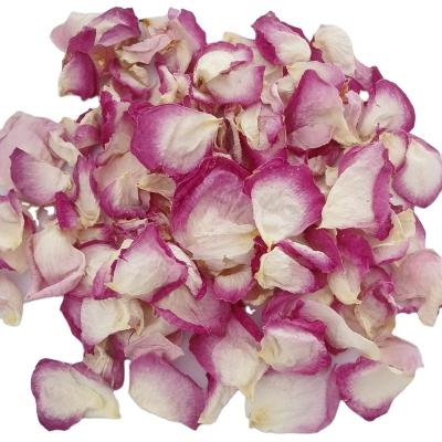 China Pure Plants Dried Rose Petals To Wedding Natural Dried Flowers Rose Flower for sale