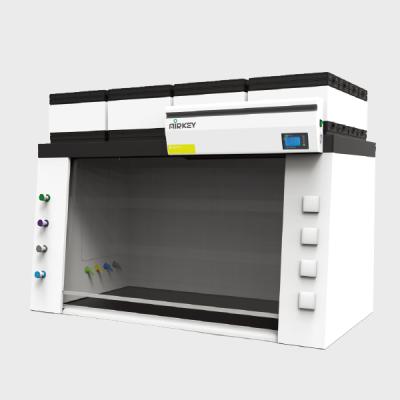 China Modern Ductless Lab Fume Hood Custom CE Fume Extractor Air Purification Equipment for sale