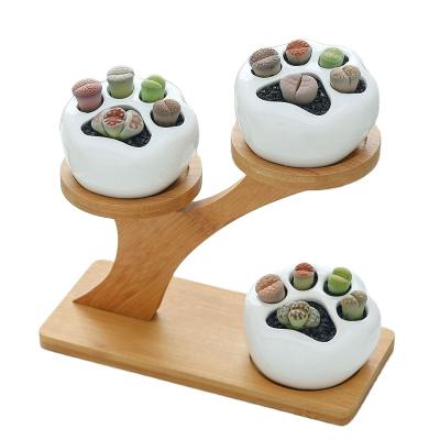 China USA Plant Cactus Frame Decoration Small Mini Plant Wood Holder Living Room Desktop Bamboo Shelf Pot Flower Stand for sale