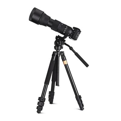 China Popular Digital Camera Recommend Phone Tripods Camera Dslr Tripod for sale