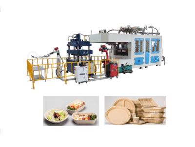 China Biodegradable Paper Pulp Molding Machinery Food Container Disposable 1 Year Guarantee en venta