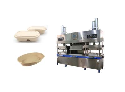 China Comida disponible abonable Tray Machine de la fibra del moldeado de la pulpa en venta