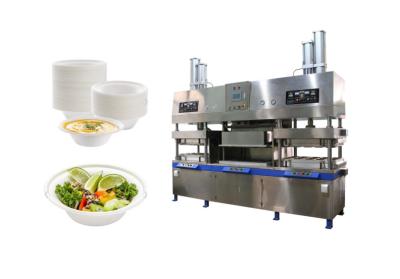 China Pulp Molding Wegwerp Restaurant Voedselverpakkingsmachine Te koop