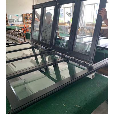 China Automatic Tempered Glass Windproof Double Glazed Panoramic Overhead Garage Door With Entry Door for sale