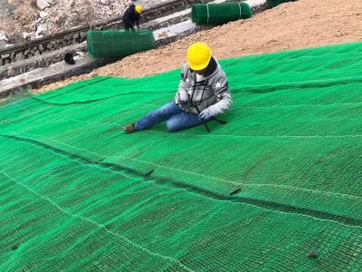 China 3mm HDPE de Drainage Mat For Construction van Geomat van de Erosiecontrole Te koop