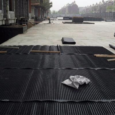 China Dakschade-drainage membraan bord drainage grachtbord en veelzijdige wandbord voor drainage oplossingen Te koop