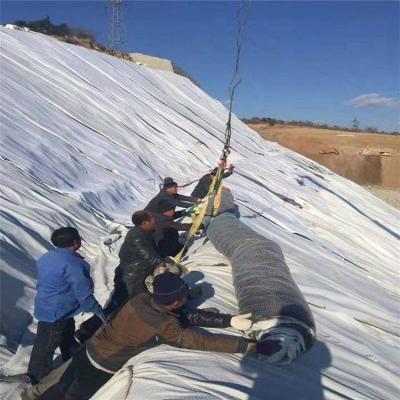 Cina Liner di argilla anti infiltrazione per stagni Gcl Liner di argilla geosintetica GCL Liner di argilla Bentonite Geotextile Mat Gcl Bentonite Geosintetica per discarica in vendita