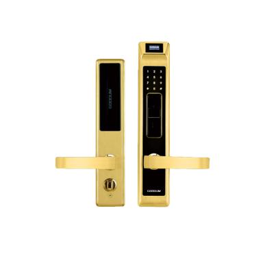 Cina Goodum apartment office fingerprint smart door lock with national mortise WIFI app system in vendita