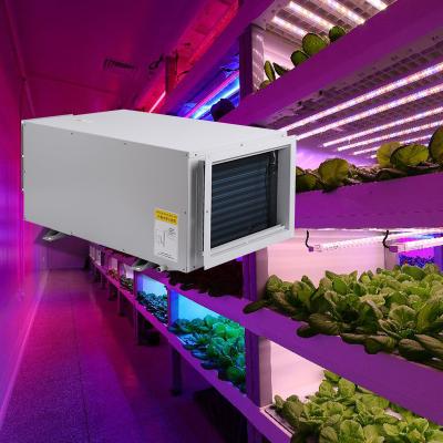 China Hotels Commercial Dehumidifier Commercial Greenhouse Desiccant Air Handling Industrial Unit HVAC for sale