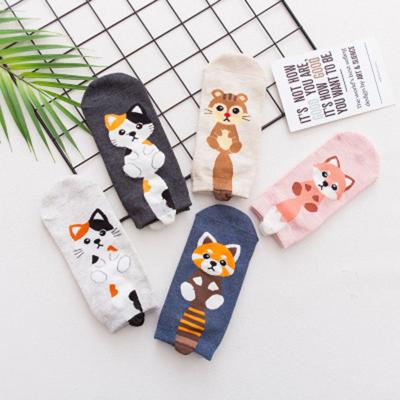 China MANZI Sweat-absorbent Japanese Cartoon Three-dimensional Tube Sock Girl Cotton Straight Female Short Ankle Socks for sale