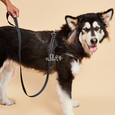 China New Amazon Reflective Pet Chest Explosion Proof Harness Dog Return Leash For Dog Pet Leash Factory Outlet for sale