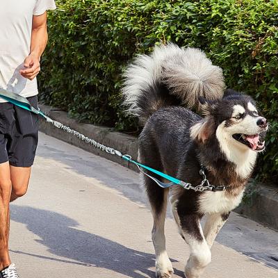 China DETACHED Retractable Hands Free Dog Leash for Running, Walking, Hiking, with Strong Double Bungees for Large Dogs up to 150 Pounds for sale