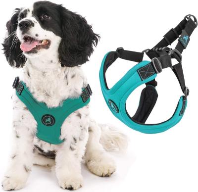 China Padded Freestanding Dog Harness Escape Sport Step-in Perfect Neoprene On Go Four Point Adjustable Harness For Dogs Or Cat Harness for sale