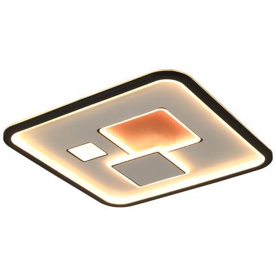 China Modern Simple Modern Smart Remote Control Led Ceiling Light Bedroom Living Room Ceiling Lamp for sale