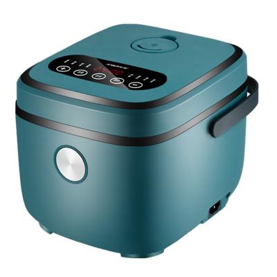 China Mini Novel Electric Rice Cooker Automatic Multifunctional Portable Home Appliance 2.5L Heating Fast Cooker for sale