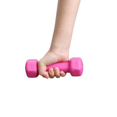 China Universal Weightlifting Wholesale High Quality Indoor Dip Exercise Plastic Hex Dumbbell for sale