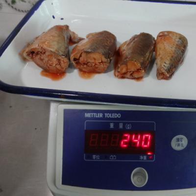 China Canned pacific mackerel in tomato sauce 425g/235g 3-5pcs/tin for sale