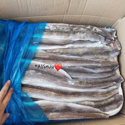 China Low Fat Frozen Eel Fish Bandages For Market 90-200g for sale