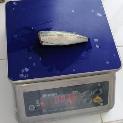 China Frozen Mackerel HGT 9-11cm High Quality Organic Seafood Frozen Pacific Fish Mackerel for sale