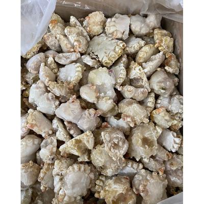 China FROZEN Hot Sale Frozen Boiled Crab Seafood Delicious Frozen Body Crab Boiled Crab for sale