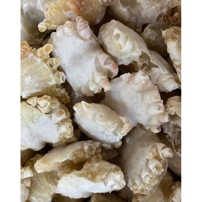 China Premium Grade Frozen Cured Crab Fresh Frozen Boiled Crab JELLY for sale